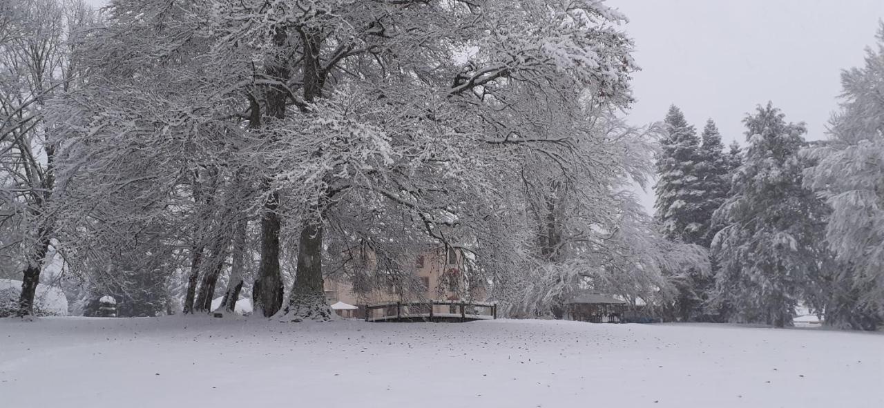 Domaine De Marchal - Chambres Et Table D'Hotes Celles-Sur-Durolle Zewnętrze zdjęcie