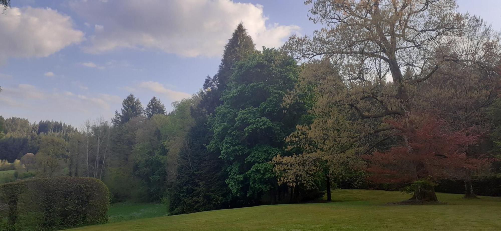 Domaine De Marchal - Chambres Et Table D'Hotes Celles-Sur-Durolle Zewnętrze zdjęcie